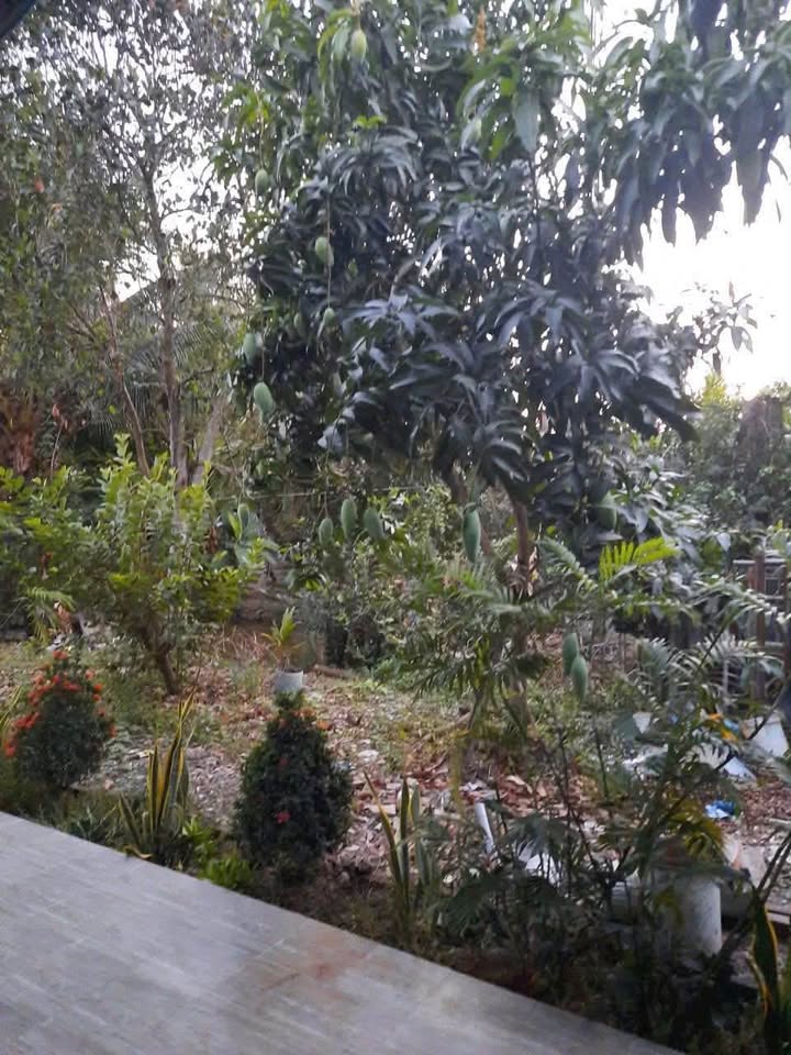 Nhà cấp 4 đẹp tại Nhựt Chánh, Bến Lức, Long An, gần quốc lộ 1A, diện tích 614m2