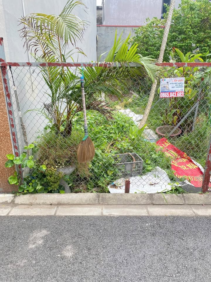 Đất Trâu Quỳ 43m² đẹp như hoa hậu, ô tô đỗ cửa, giá hời