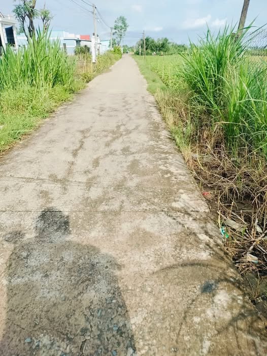 Bán gấp đất 263m2 có nhà cũ, đường xe hơi tại Tân Đông, Gò Công