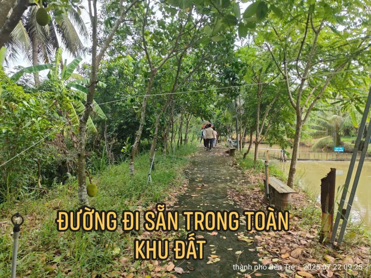 Bán đất vườn dừa trái cây 32.000m2 tại phường Phú Khương, Bến Tre