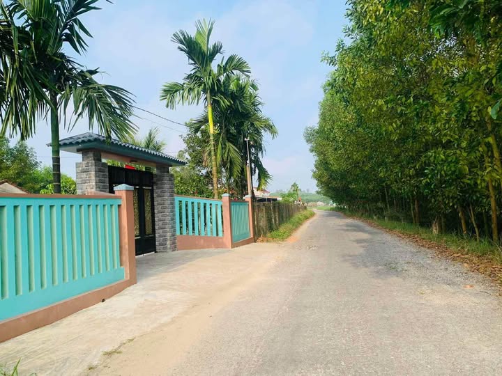 Vườn Tịnh Bình - Đất vàng Sơn Tịnh, kinh doanh, làm kho xưởng, giá hời