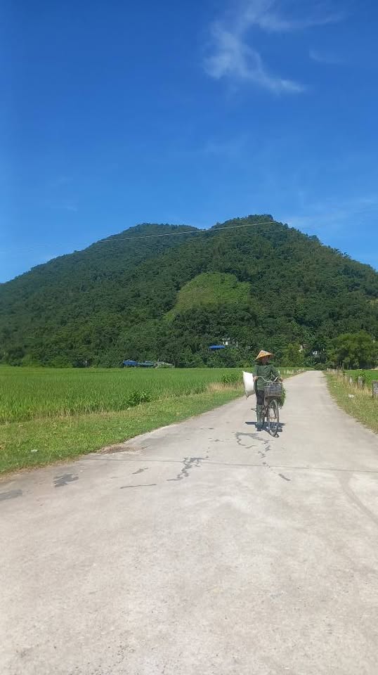 Đất vàng Kim Bôi sổ đỏ sẵn sàng, cơ hội đầu tư sinh lời