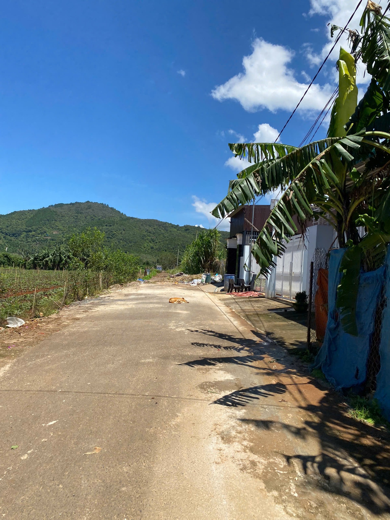 Bán đất Liên Hiệp, Lâm Đồng - 156.7m² thổ cư, 1.05 tỷ