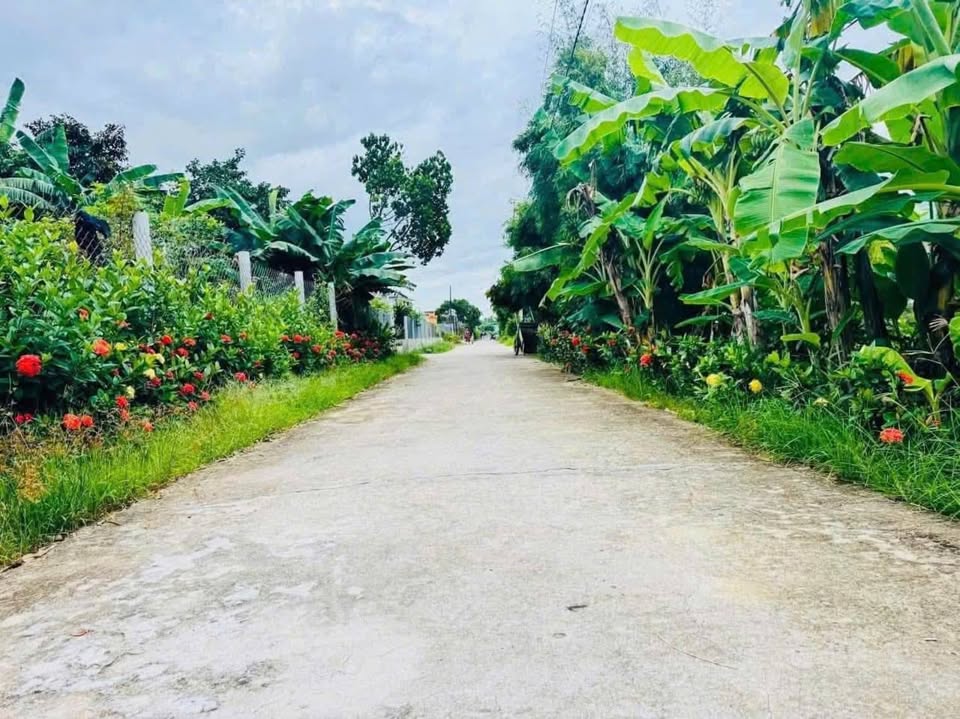 Bán đất trung tâm Chợ Đò, Hương Trà, Thừa Thiên Huế - Diện tích rộng, sinh lời cao