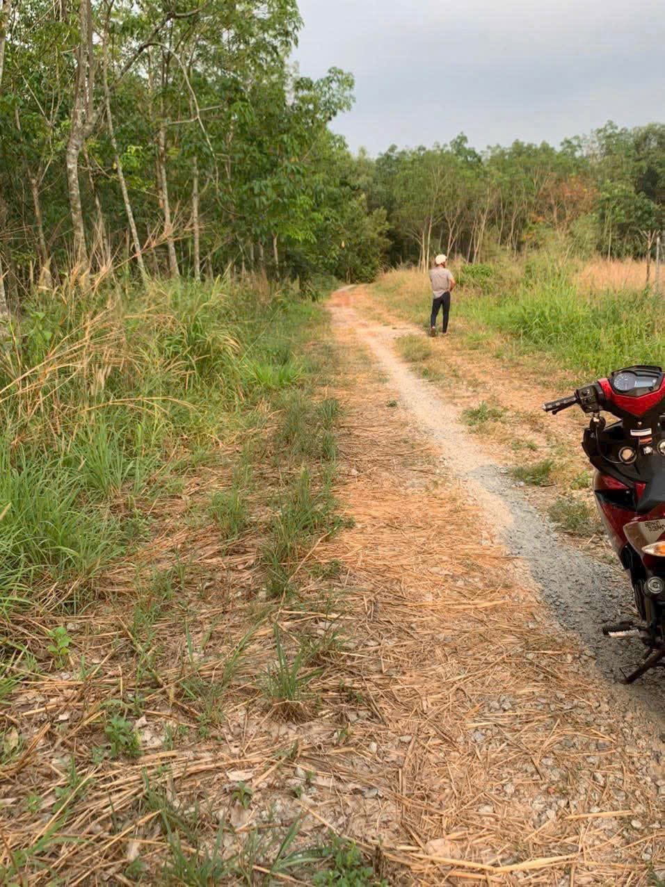 Đất Lai Hưng - Bến Cát siêu hot, diện tích khủng, giá sập sàn