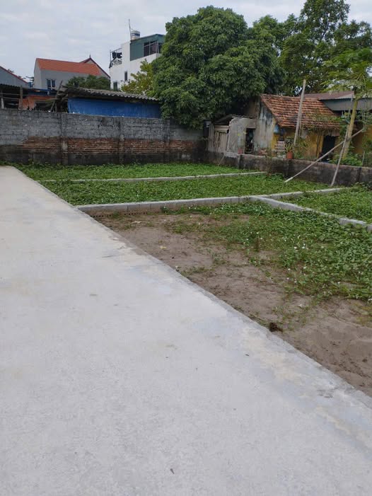 Đất đẹp như hoa hậu ở Hồng Vân, Thường Tín, Hà Nội đây