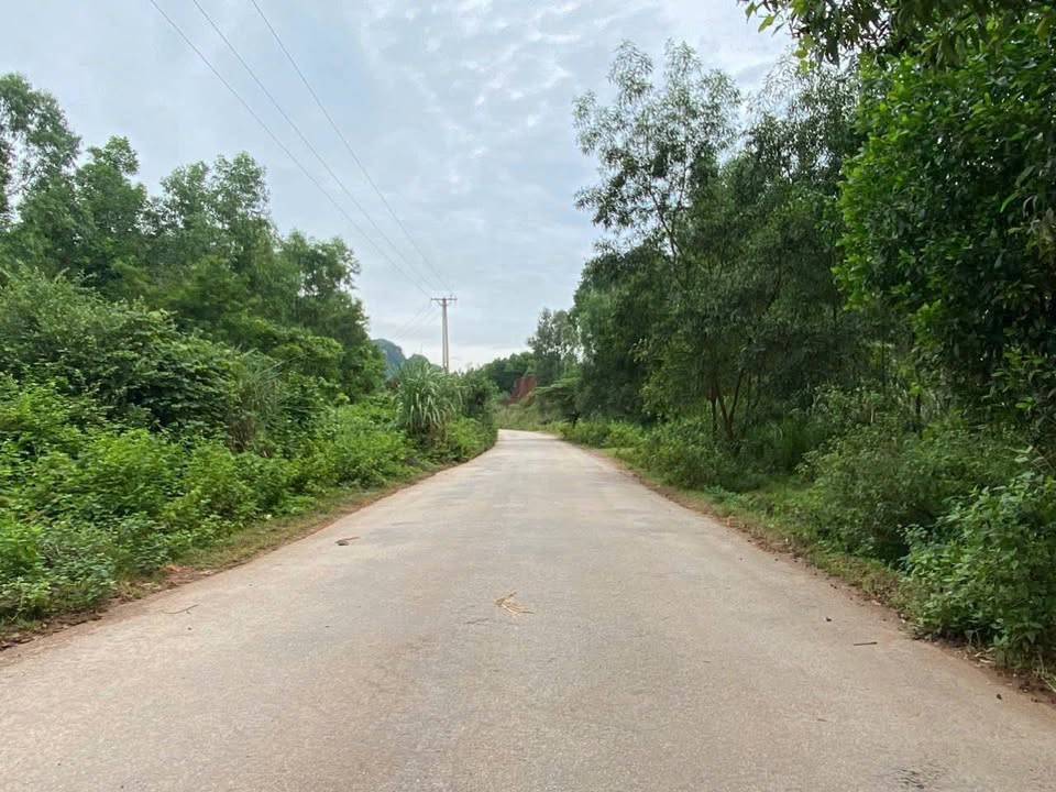 Trang trại triệu đô Thanh Hóa 2,1ha bám mặt đường nhựa, sổ hồng 50 năm, giá hời 5,2 tỷ