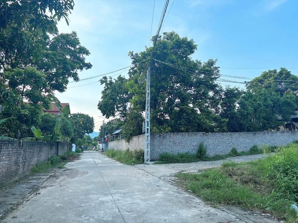 Siêu phẩm đất 2 mặt tiền 100m² tại thôn Đồng Giang, Trung Mỹ, huyện Bình Xuyên, tỉnh Vĩnh Phúc