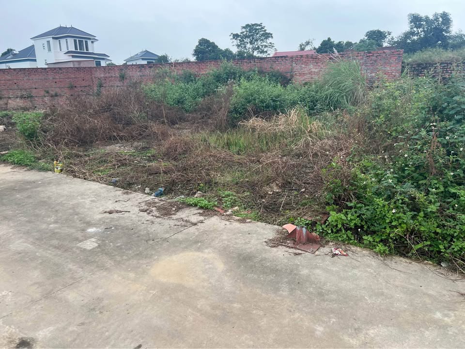 Bán đất vàng 81m2 hướng nam, phường Đào Viên, Bắc Ninh