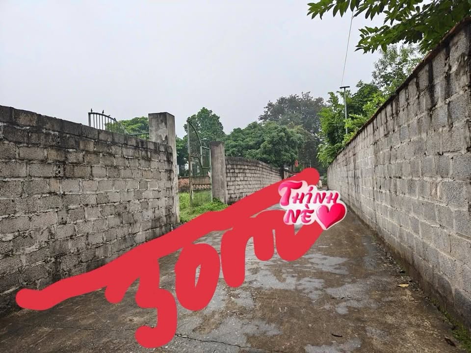 Đất tọa lạc tại vùng đất Tản Lĩnh - Suối Hai, Ba Vì, Hà Nội