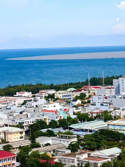 Đất vườn xịn sò, cây trái sum suê, sổ sách sẵn sàng