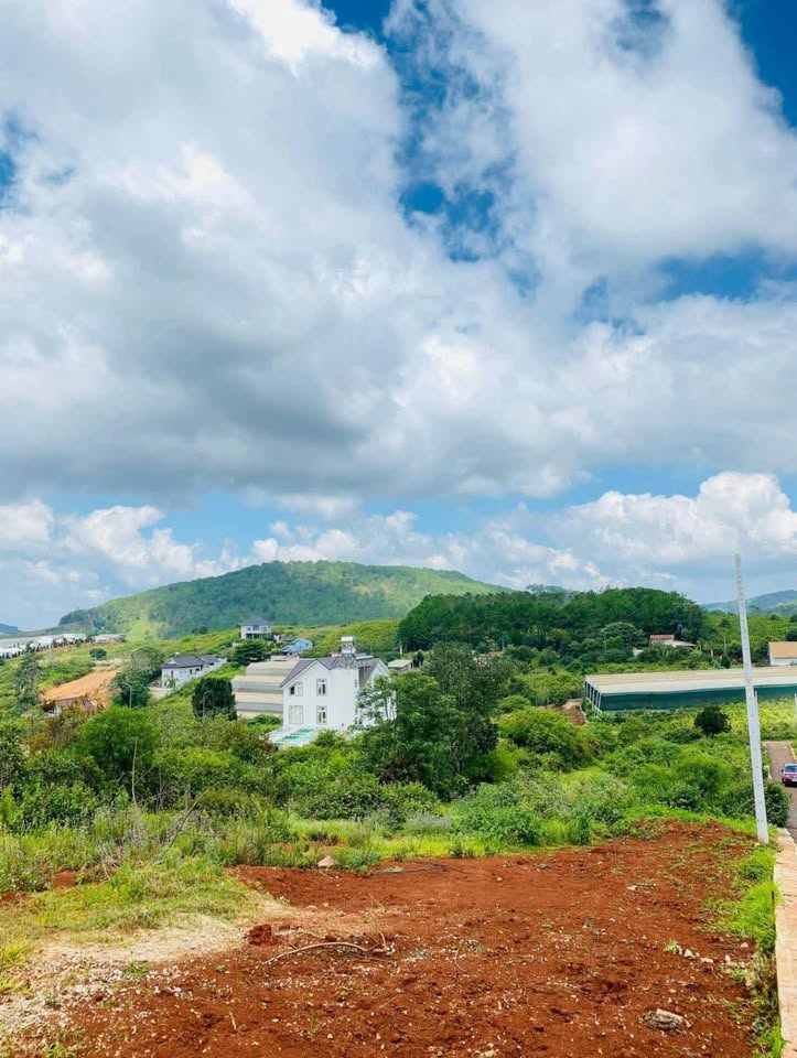 Đà Lạt, lô đất Villa Mănglin view triệu đô, cơ hội đầu tư sinh lời đỉnh cao