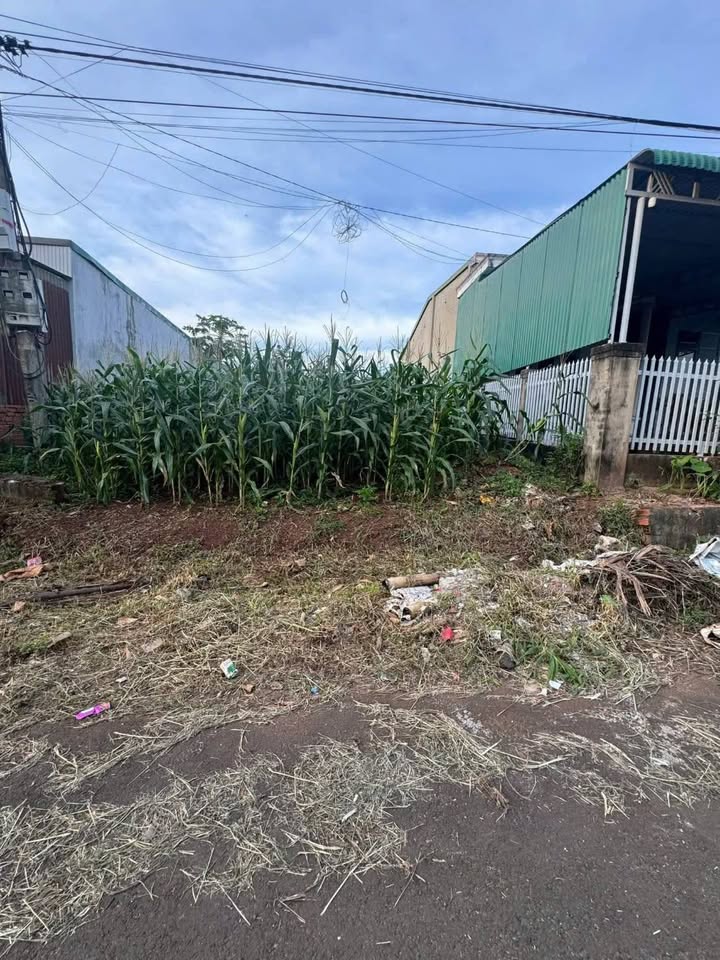 Đất thổ cư thôn 8, phường Buôn Mê Thuột, n cư lạc nghiệp, đầu tư sinh lời