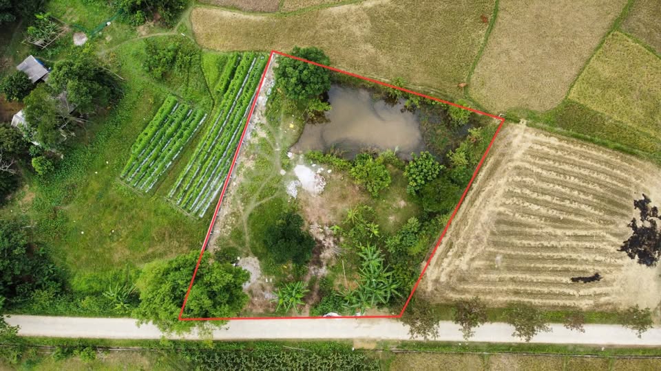 Cơ hội sở hữu lô đất tuyệt đẹp tại Đà Bắc, Hòa Bình, chỉ cách trung tâm Hà Nội