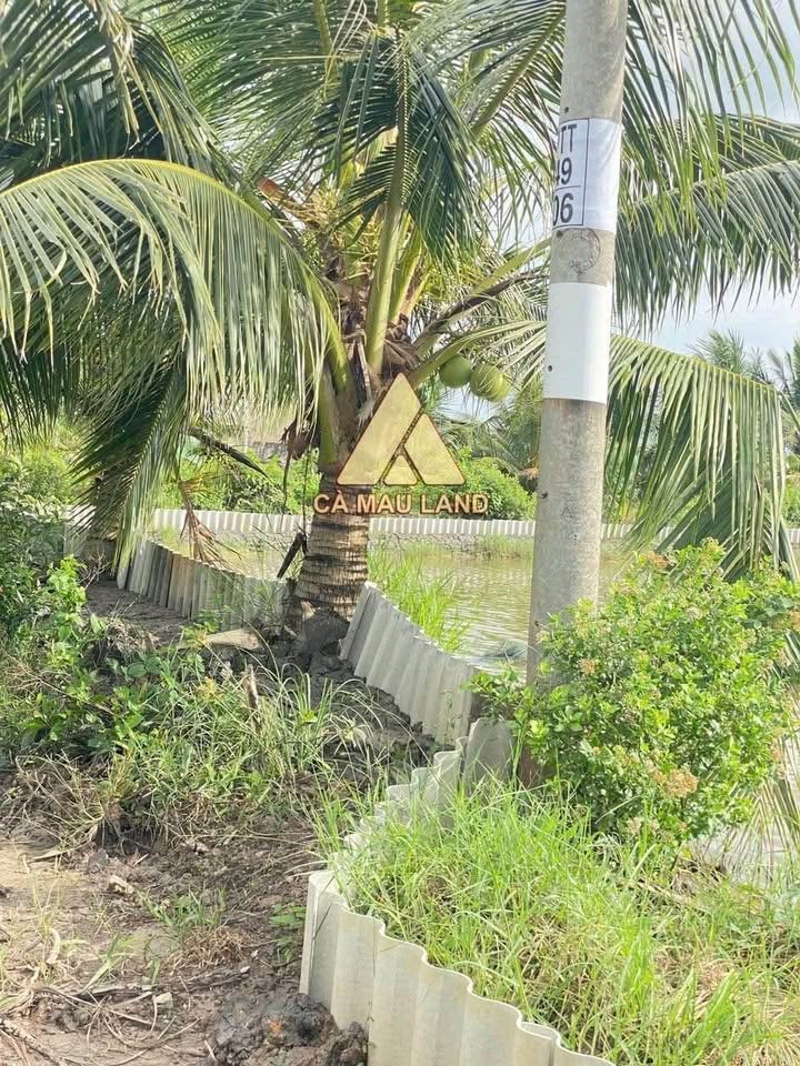 Đất vàng Bạc Liêu, 16,671m2 vuông vức, sổ đỏ đầy đủ, giá hời