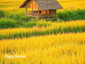 Bán đất nền Đại Thắng, Vụ Bản, Nam Định, 90m2, ngõ xe tải