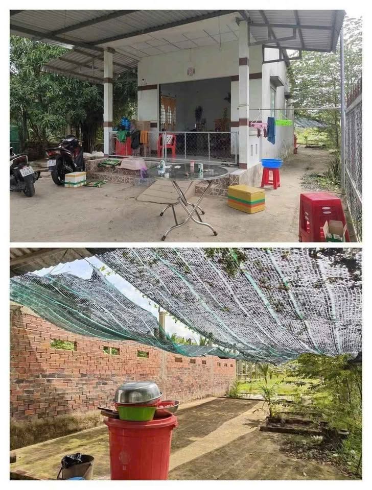 Bỏ túi ngay mảnh đất vườn dừa siêu rộng 3,346m2 tại Phú Hưng, Bến Tre