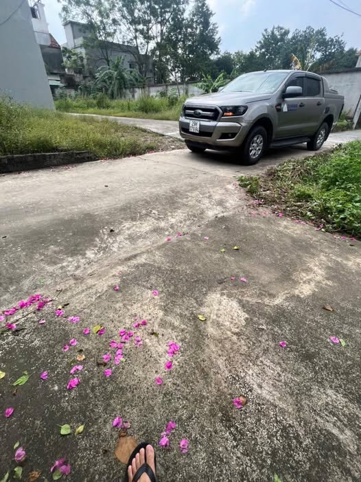 Đất vàng Thường Tín – Ô tô tận nơi, sổ đỏ trao tay, giá hời