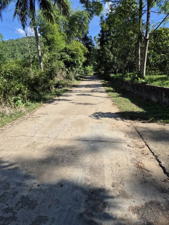 Siêu phẩm đất nền F0 tại Thịnh Minh, nay thuộc Phú Thọ, đang chờ chủ nhân mới