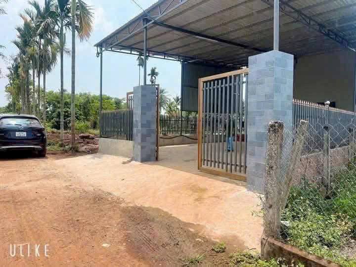 Đất vàng Eabhok 10m x 55m, sổ riêng từng nền, giá chỉ 600 triệu