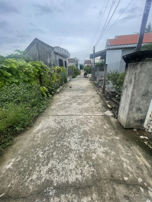 Chính chủ bán gấp lô đất 100m2 full thổ cư tại Phú Yên giá rẻ bất ngờ