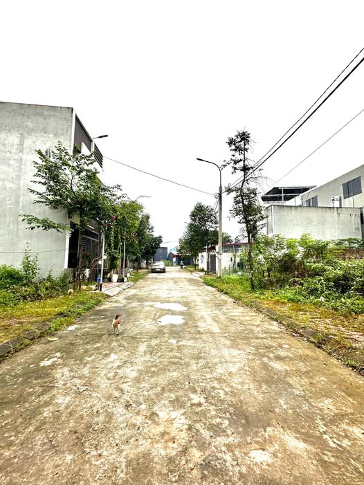 Cơ hội sở hữu mảnh đất đắc địa tại thành phố Vĩnh Yên, tỉnh Vĩnh Phúc