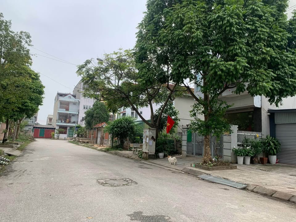 Siêu biệt thự ọa lạc tại khu đô thị Chùa Hà Tiên, thành phố Vĩnh Yên, tỉnh Vĩnh Phúc