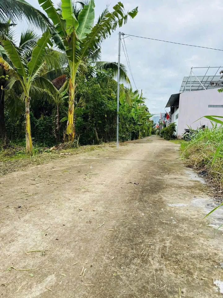 Cơ hội sở hữu ngay 380m2 đất thổ cư đắc địa tại Phú Tân, Bến Tre