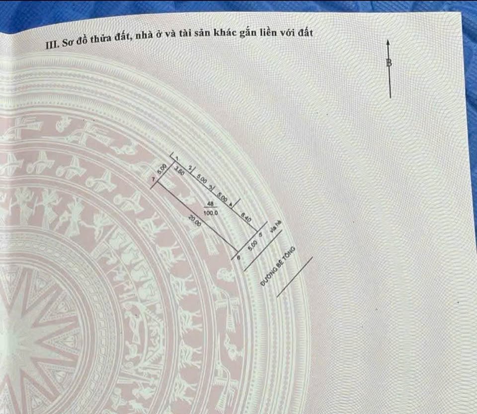 Khám phá mảnh đất đấu giá đầy tiềm năng tại Thế Trạch, Mai Đình, Hà Nội