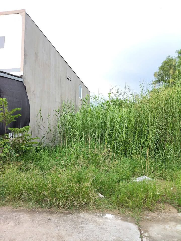 Bán đất mặt tiền đường rộng 4m, gần Đại Học Trà Vinh chỉ 460 triệu