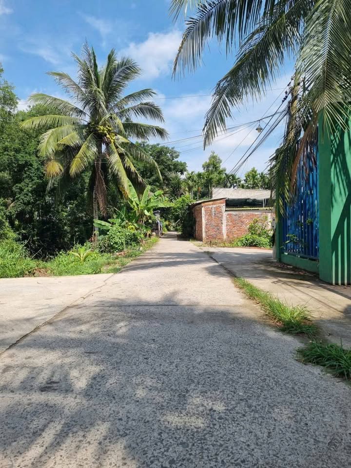 Đất Hữu Định, Bến Tre, 442m2, ngang 10m, giá 670 triệu, cơ hội đầu tư khó cưỡng