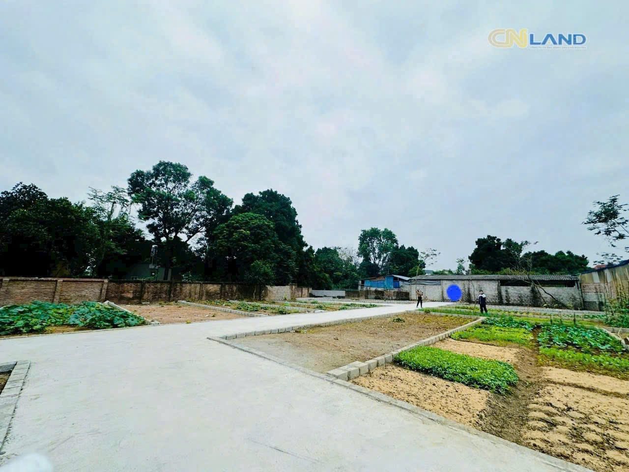 Bán lô đất đẹp 59m2 tại Đồng Tâm, Mỹ Đức, Thành phố Hà Nội