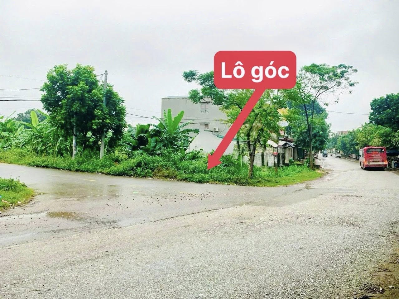 Bán đất lô góc mặt tiền tỉnh lộ 307, Vĩnh Phúc, 95,5m2