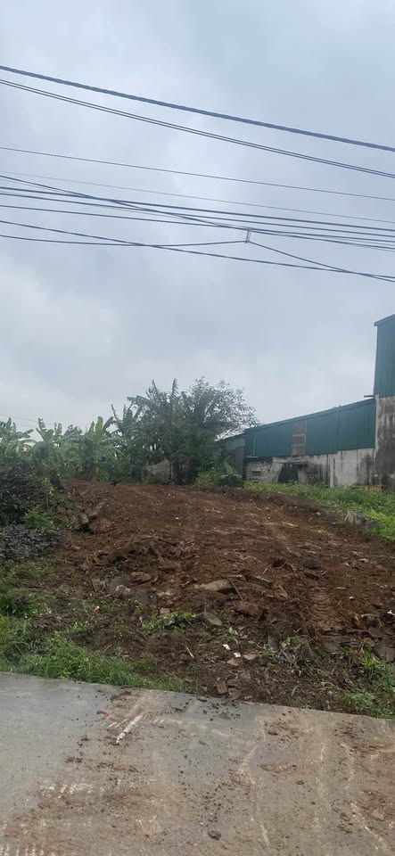 Siêu phẩm đất nền trục chính đồi cao Yên Bình, thành phố Tam Điệp, tỉnh Ninh Bình