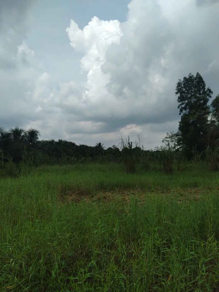 Đất nền sổ đỏ, gần khu công nghiệp Giao Long, Bến Tre, giá chỉ 490 triệu