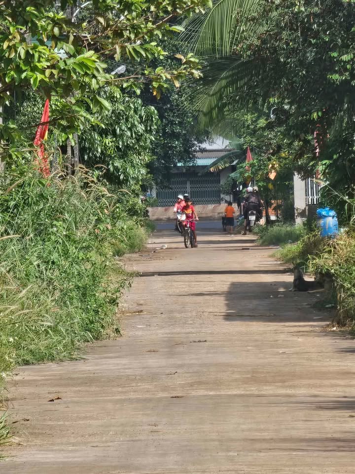 Bán 4 lô đất liền kề 5x33m tại Tiến Hưng, Đồng Xoài, Bình Phước