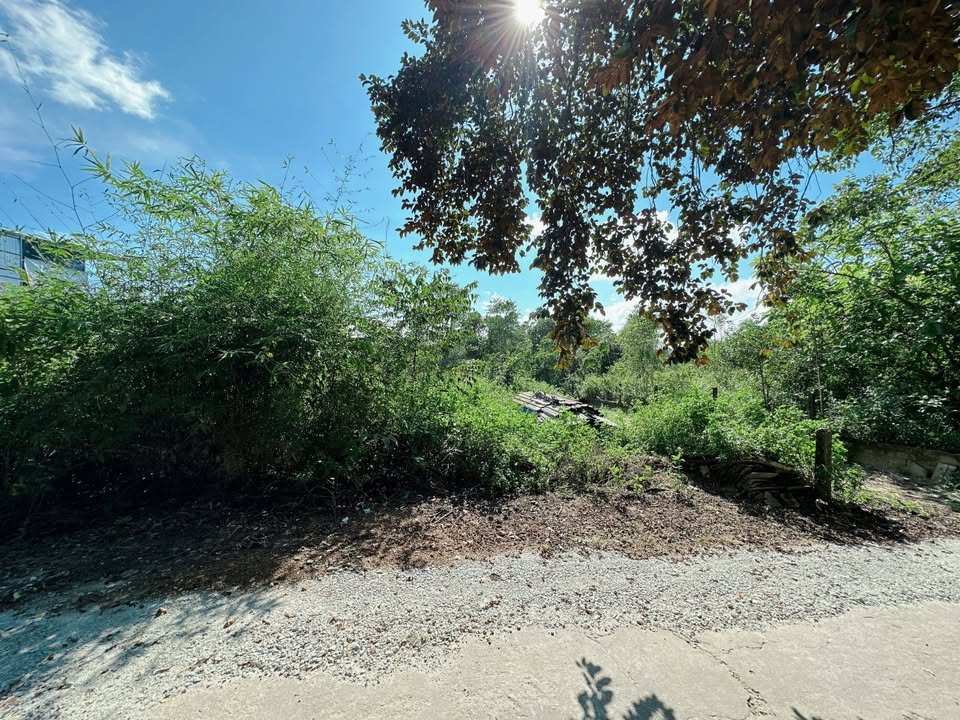 Chào mừng quý vị đến với cơ hội sở hữu mảnh đất vàng tại 77 Thiên Thai, Phường An Tây