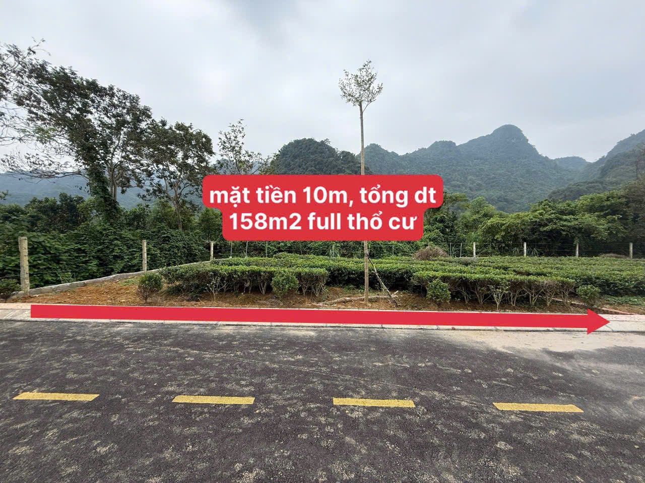 Chính chủ bán gấp đất An Nghĩa Phú Thọ 158m² sổ đỏ chính chủ, giá chỉ vài trăm triệu