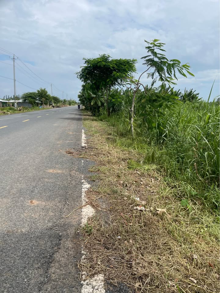 Đất mặt tiền Tỉnh Lộ 852, xã Vĩnh Thạnh, huyện Lấp Vò, tỉnh Đồng Tháp