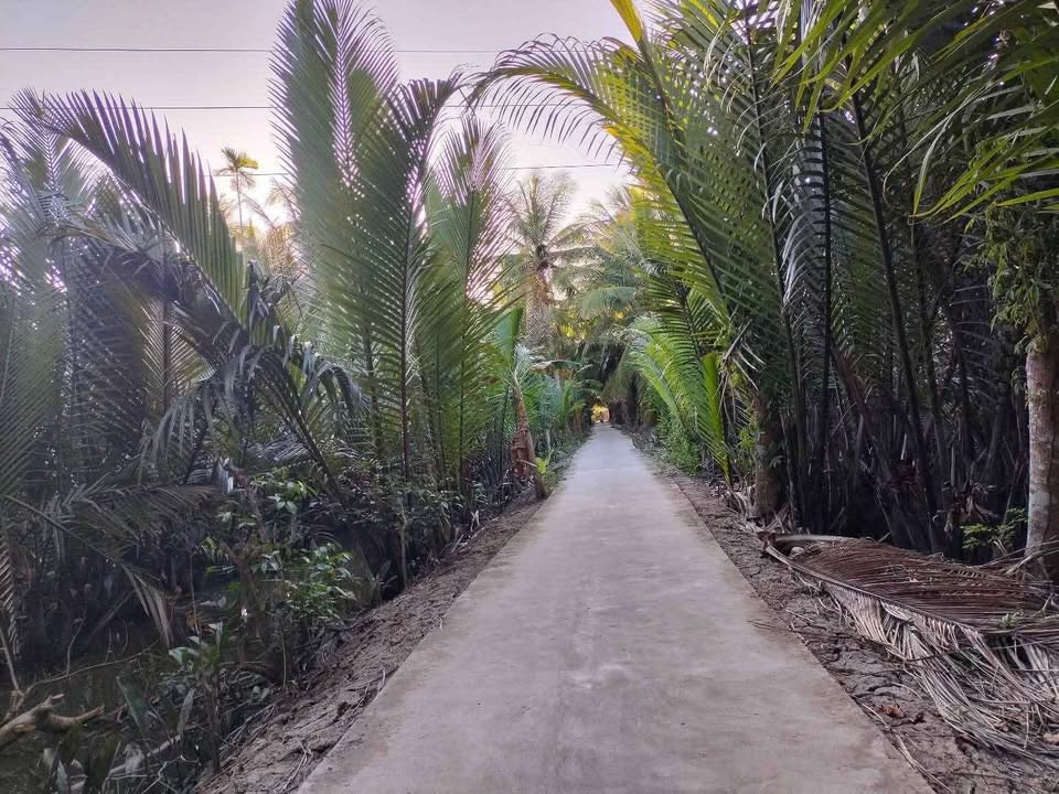 Chủ nhà hào phóng chừa hẳn 60m2 làm đường đi, giờ bán lại nền đất 350m2 tại Châu Hòa, Bến Tre