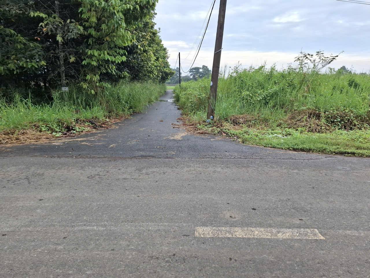 Mảnh đất mơ ước tọa lạc tại Tây Hòa, Đồng Nai