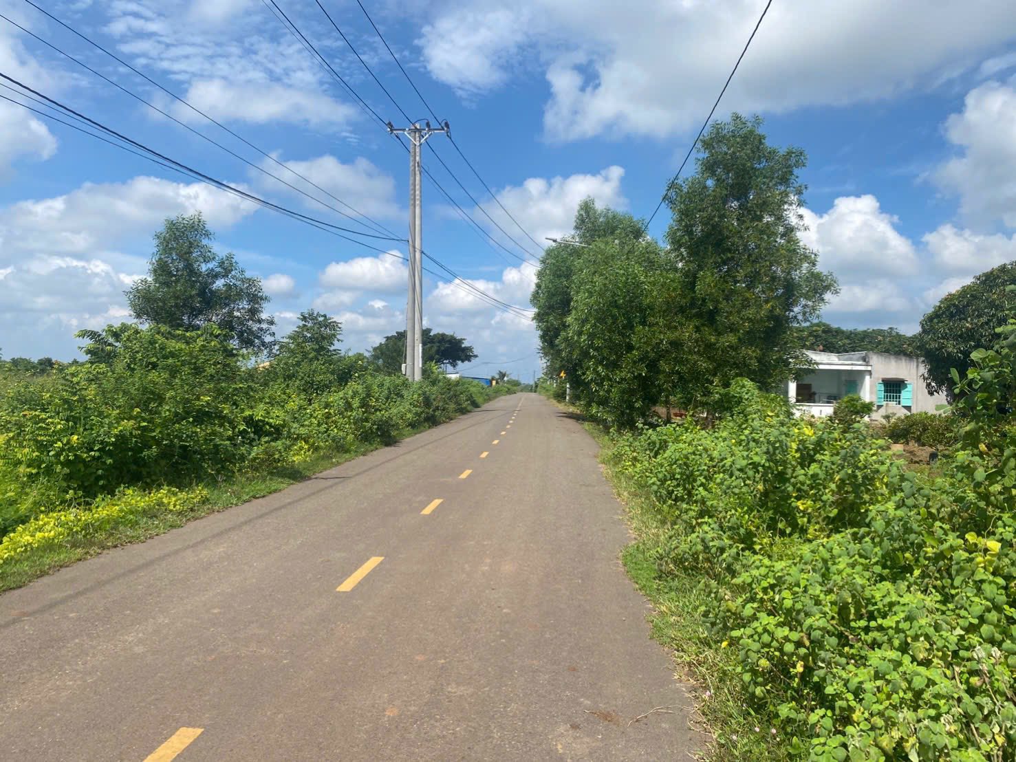 án gấp lô đất siêu đẹp tại đường nhựa chính Láng Dài, Bà Rịa - Vũng Tàu