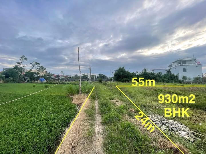 Siêu phẩm đất nền khu phố Đông Bình, phường Tuy Hòa, tỉnh Phú Yên đã chính thức lộ diện