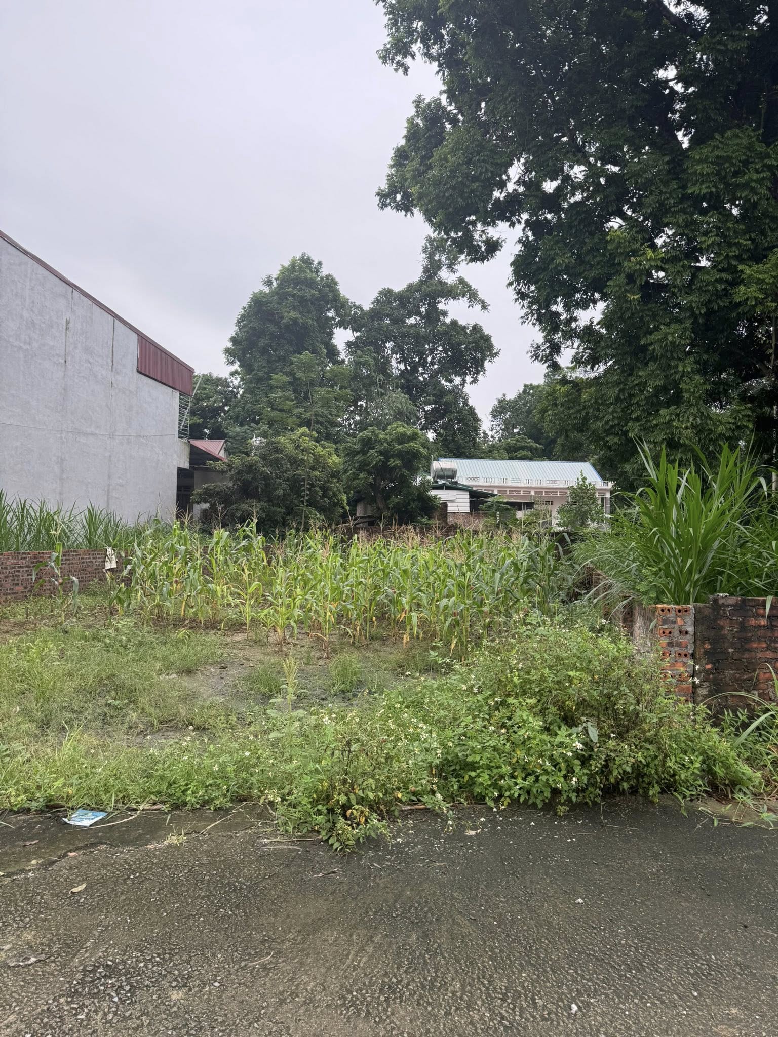 Siêu phẩm đất nền view hồ, cơ hội vàng đầu tư tại Phú Thọ