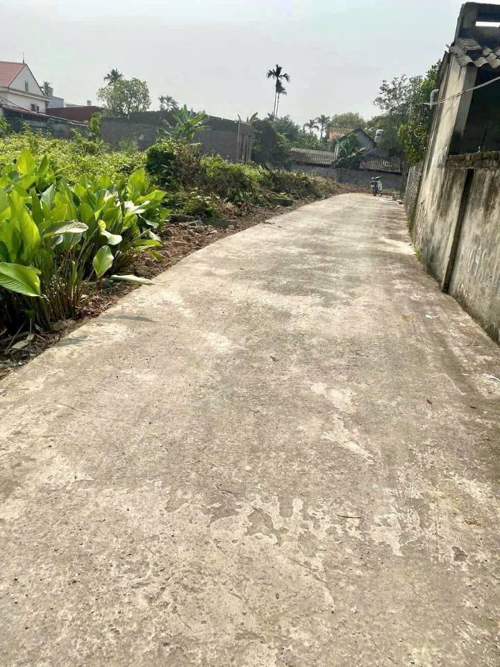 Cơ hội sở hữu ngay lô đất vuông vắn với diện tích 95.5m2 tại Hữu Bằng, Kiến Thụy, Hải Phòng