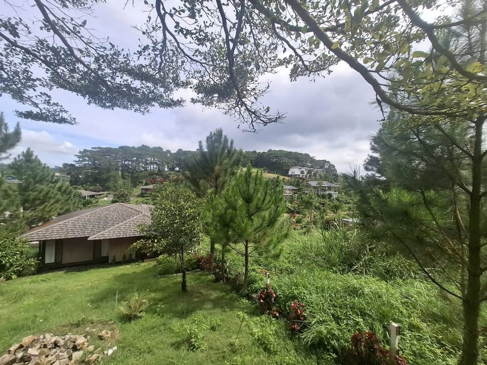 Villa vườn Kiwuki Lộc 676m² đất vàng, suối riêng, giá 6 tỷ, đón đầu thiên nhiên