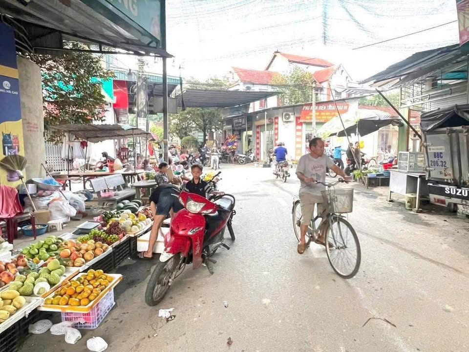 Bán đất 164m2 trục chính liên thôn Đồng Tĩnh, Vĩnh Phúc