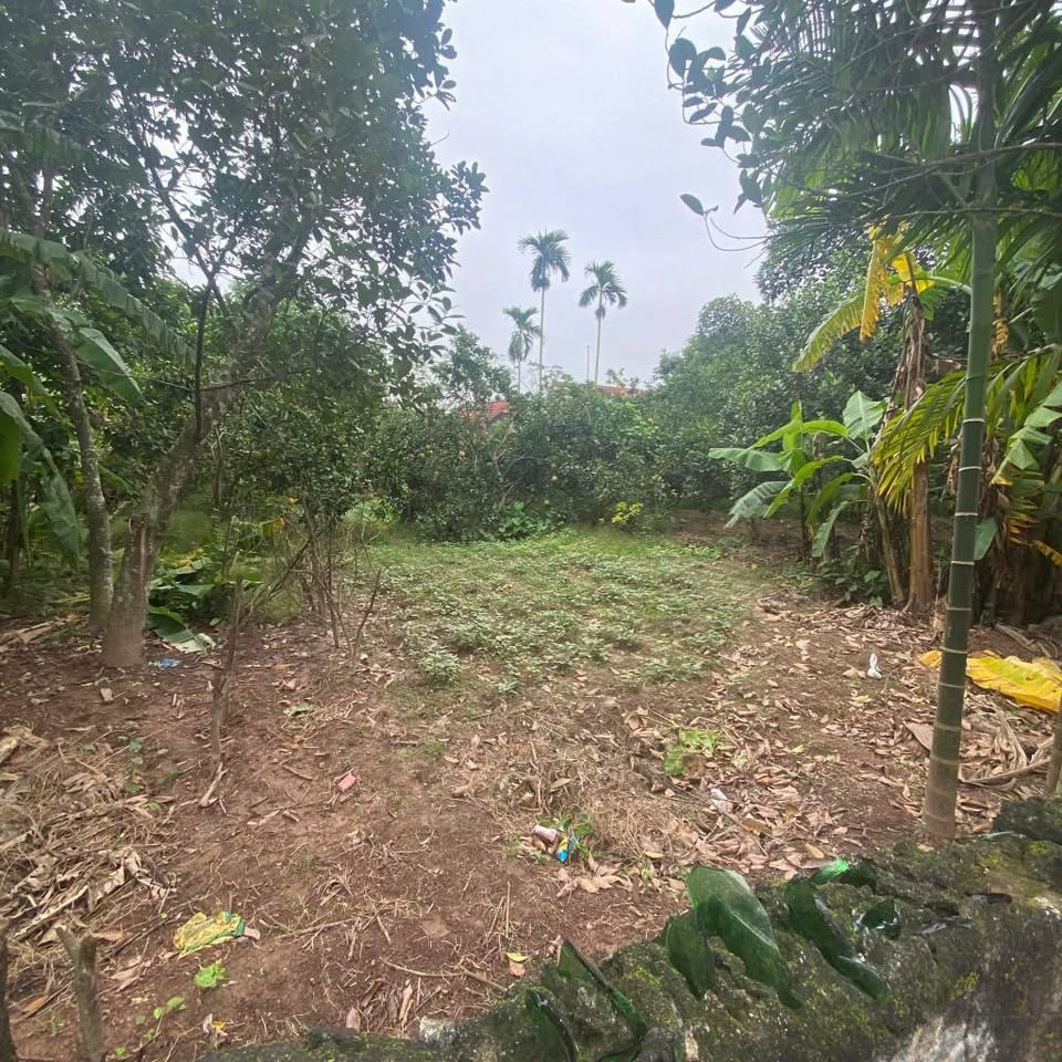 Đất Lệ Thủy, mặt tiền 4,5m, đường thông, gần chợ và khu công nghiệp, sổ đỏ sẵn sàng