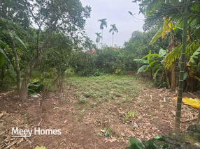 Đất Lệ Thủy, mặt tiền 4,5m, đường thông, gần chợ và khu công nghiệp, sổ đỏ sẵn sàng