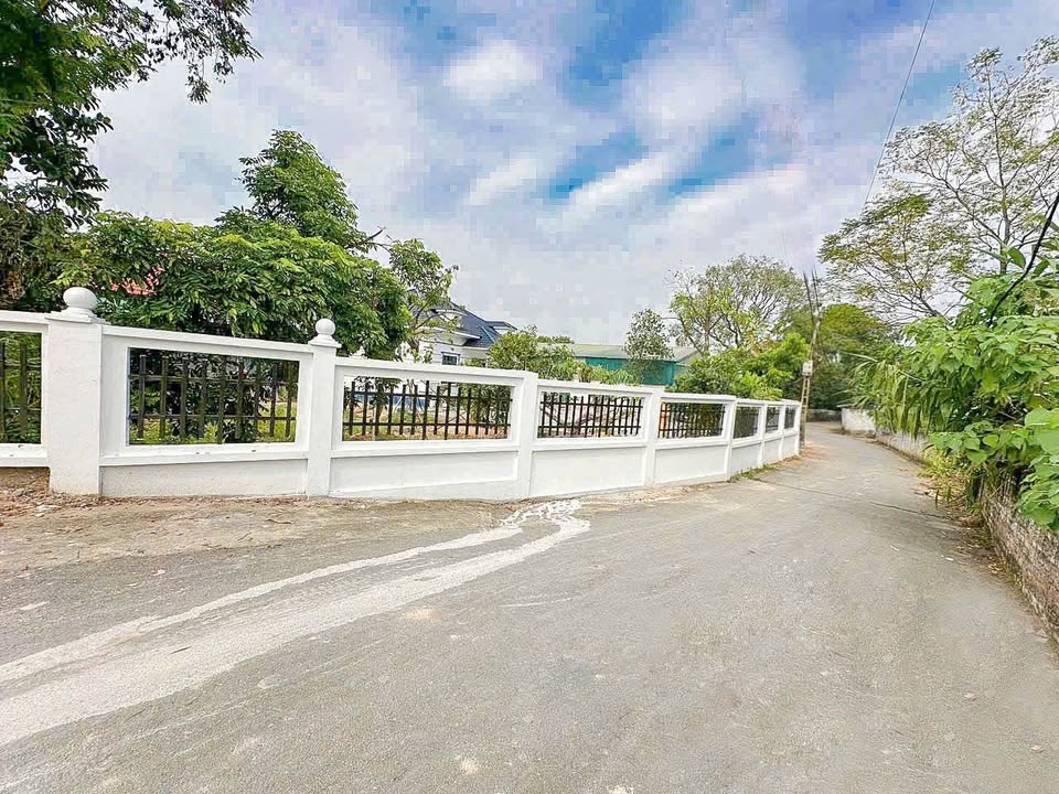 Bán đất 164m2 mặt tiền 5m nở hậu tại Duy Phiên, Tam Dương, Vĩnh Phúc